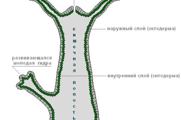 Купить наркотики в москве